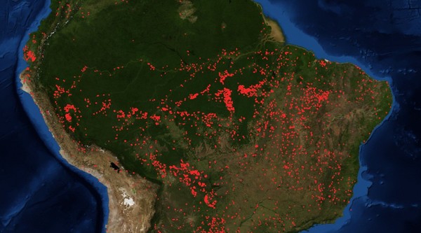 Amazonas Fires 2019