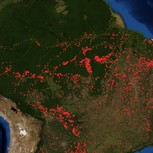 Amazonas Fires 2019