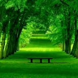 Green Park Chamrande