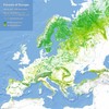 Bosques Europa