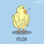 pollon
