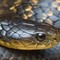 Common Tiger Snake